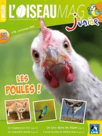 Couverture de l'OISEAU MAG JUNIOR n°18